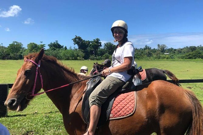 Horse Riding in Port Vila with Yumi Tours - Exploring Vanuatu on Horseback: A Detailed Breakdown
