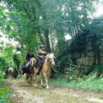 Horse riding in the French countryside - Is It Worth the Price?