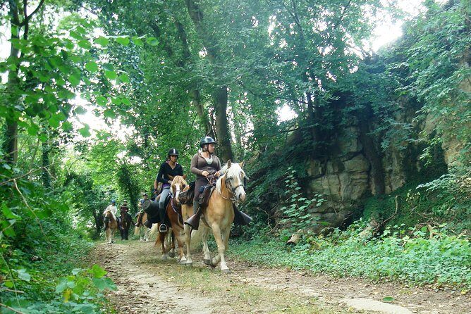 Horse riding in the French countryside - Is It Worth the Price?