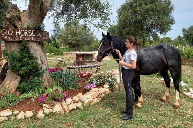 Horse riding in the Gargano National Park - Final Thoughts