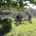 Horse riding in the Valley, near Lisbon, brunch and winnery - What Makes This Experience Stand Out