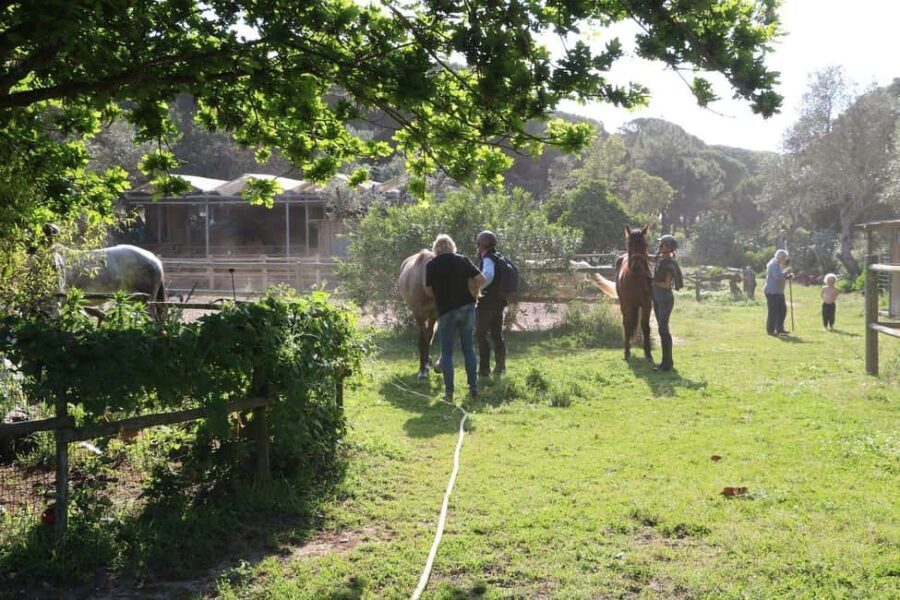 Horse riding in the Valley, near Lisbon, brunch and winnery - What Makes This Experience Stand Out