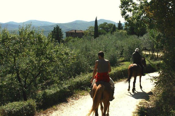 Horse Riding in Tuscany for Experienced Riders: Full-day Trail Ride - The Sum Up