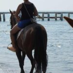 Horse Riding on the Beach in Side - Authenticity and Quality of Guides