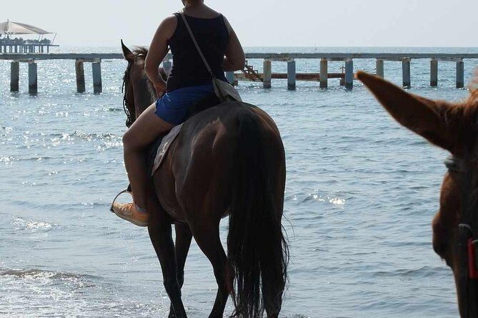 Horse Riding on the Beach in Side - Authenticity and Quality of Guides
