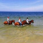 Horse riding on the beach, with private transfer from Lisbon - Real Traveler Perspectives