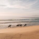 Horse Riding on the Beach with private transfer from Lisbon - The Guides and Service: Friendly and Knowledgeable