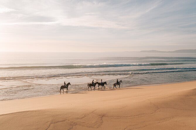 Horse Riding on the Beach with private transfer from Lisbon - The Guides and Service: Friendly and Knowledgeable
