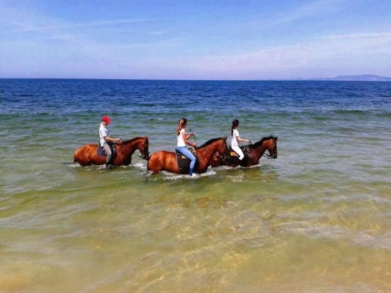 Horse riding on the beach, with private transfer from Lisbon - Real Traveler Perspectives