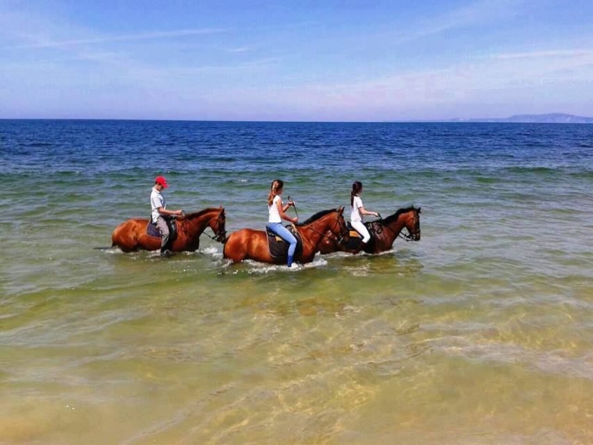 Horse riding on the beach, with private transfer from Lisbon - Real Traveler Perspectives