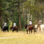 Horse Riding Tour in Marmaris - The Experience in Detail