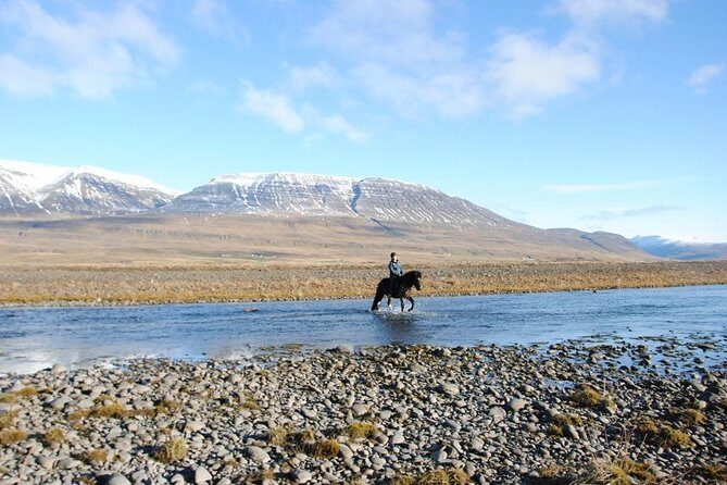 Horse Riding Tour to the Glacier River Delta with Waterfall - Who Would Enjoy This Tour?