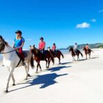 Horse Riding, Wine Tasting & Art Trail Private Tour - Exploring Auckland’s Countryside in Style and Comfort