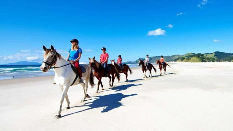 Horse Riding, Wine Tasting & Art Trail Private Tour - Exploring Auckland’s Countryside in Style and Comfort
