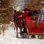 Horse Sleigh Ride in the Polish Countryside, private tour from Krakow - The Value and Practical Considerations
