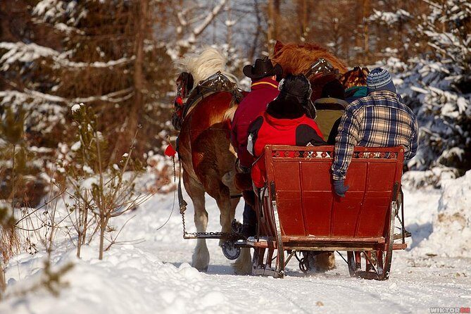Horse Sleigh Ride in the Polish Countryside, private tour from Krakow - The Value and Practical Considerations