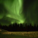 Horse Sleigh Ride Under The Night Sky in Apukka Resort, Rovaniemi - The Sum Up