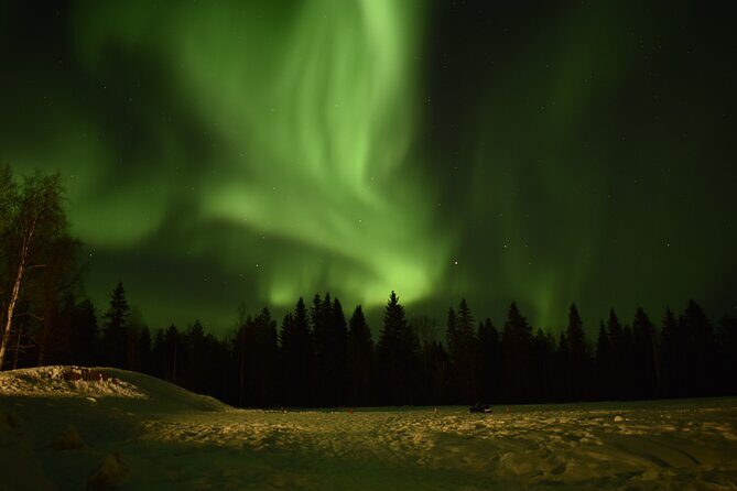 Horse Sleigh Ride Under The Night Sky in Apukka Resort, Rovaniemi - The Sum Up