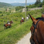 Horseback ride and gourmet cuisine in a historic food shop - What to Expect: The Itinerary Breakdown