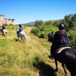 Horseback ride and Poolside Day chillout with Tuscan Lunch - A Deep Dive into the Tuscany Horse and Pool Experience