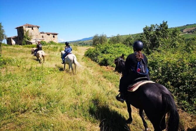 Horseback ride and Poolside Day chillout with Tuscan Lunch - A Deep Dive into the Tuscany Horse and Pool Experience