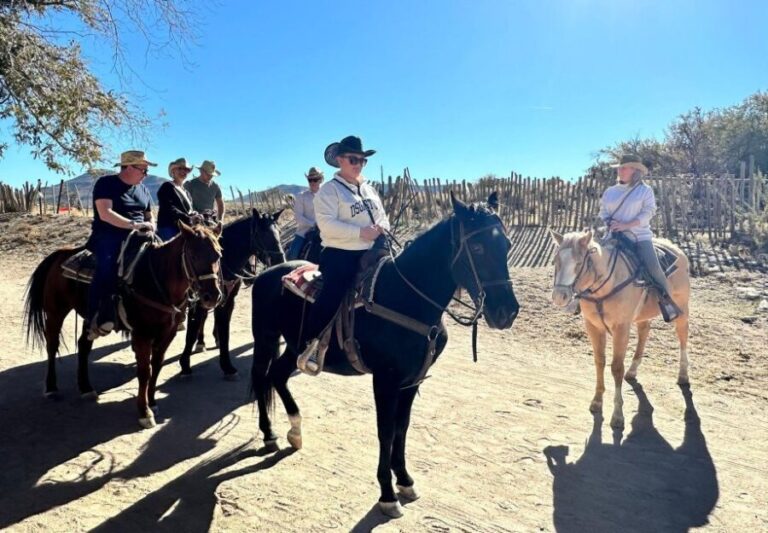 Horseback Ride thru Joshua Tree Forest with Buffalo & Lunch - Who Is This Tour Perfect For?