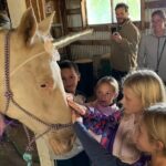 Horseback Rides, Interactions, and Petting Zoo - The Details That Make This Tour Special