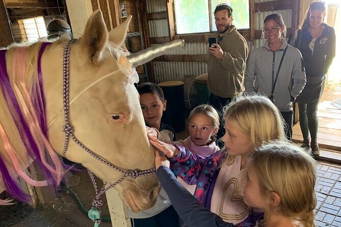 Horseback Rides, Interactions, and Petting Zoo - The Details That Make This Tour Special