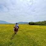 Horseback Riding Across River Ljuta with transport - Exploring the Horseback Riding Across River Ljuta Tour