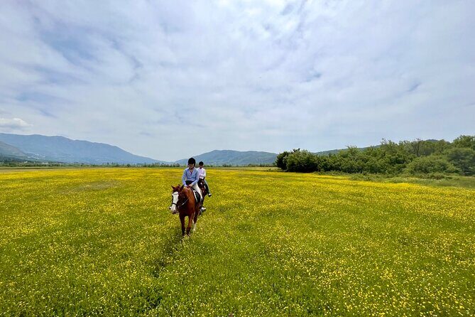 Horseback Riding Across River Ljuta with transport - Exploring the Horseback Riding Across River Ljuta Tour