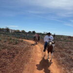 Horseback riding and Temazcal combo with lunch and mezcal - An In-Depth Look at the Experience