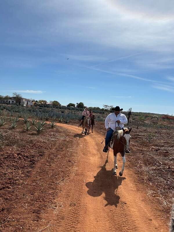 Horseback riding and Temazcal combo with lunch and mezcal - An In-Depth Look at the Experience