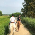 Horseback riding and wine tasting - The Sum Up