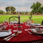 Horseback Riding and yurt stay in the Puszta, 1 hour morning ride - What to Expect on the Tour
