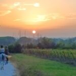 Horseback riding at sunset 1 hour at the Certosa di Pisa - Who Will Love This Tour?