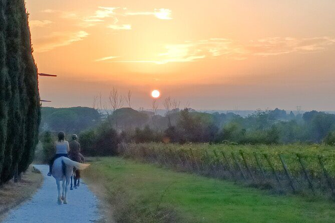 Horseback riding at sunset 1 hour at the Certosa di Pisa - Who Will Love This Tour?