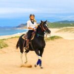 Horseback Riding Beach and Desert in Cabo by Cactus Tours Park - Practical Details Worth Knowing