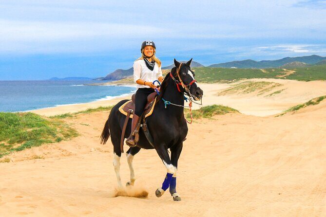 Horseback Riding Beach and Desert in Cabo by Cactus Tours Park - Practical Details Worth Knowing