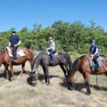 Horseback riding in Provence Luberon - The Itinerary: How the Ride Unfolds