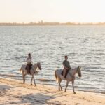 Horseback Riding On The Beach At Sunset - Why You’ll Value This Experience