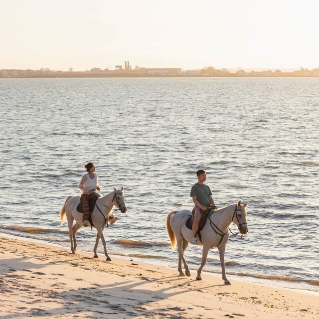 Horseback Riding On The Beach At Sunset - Why You’ll Value This Experience