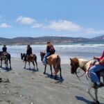 Horseback Riding on the Beach from Ensenada - A Closer Look at the Ensenada Horseback Riding Tour