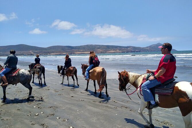 Horseback Riding on the Beach from Ensenada - A Closer Look at the Ensenada Horseback Riding Tour