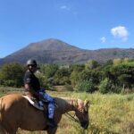 Horseback Riding on Vesuvius - A Detailed Look at the Horseback Riding Experience
