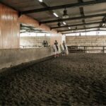 Horseback Riding Tour - A Deeper Look at the Horseback Riding Tour