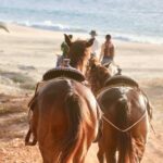 Horseback Riding Tour in Cabo San Lucas - Final Thoughts: Is It Worth It?