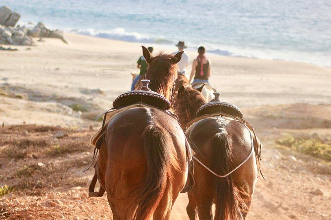 Horseback Riding Tour in Cabo San Lucas - Final Thoughts: Is It Worth It?