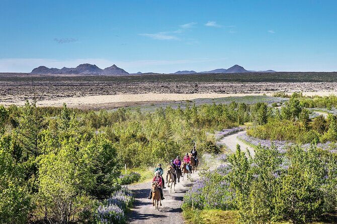 Horseback Riding Tour in Iceland - Final Thoughts: Is This Experience Worth It?