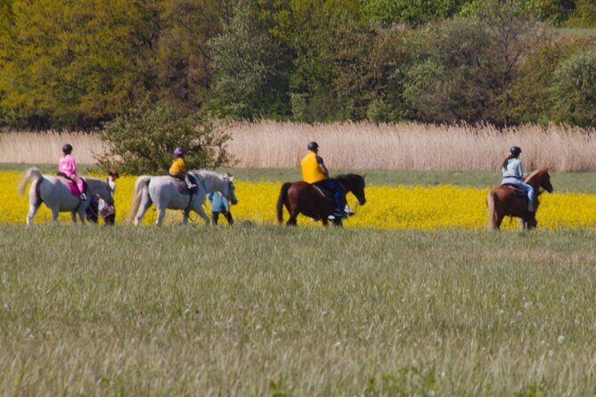 horseback riding tour in Prague - Who Should Consider This Tour?