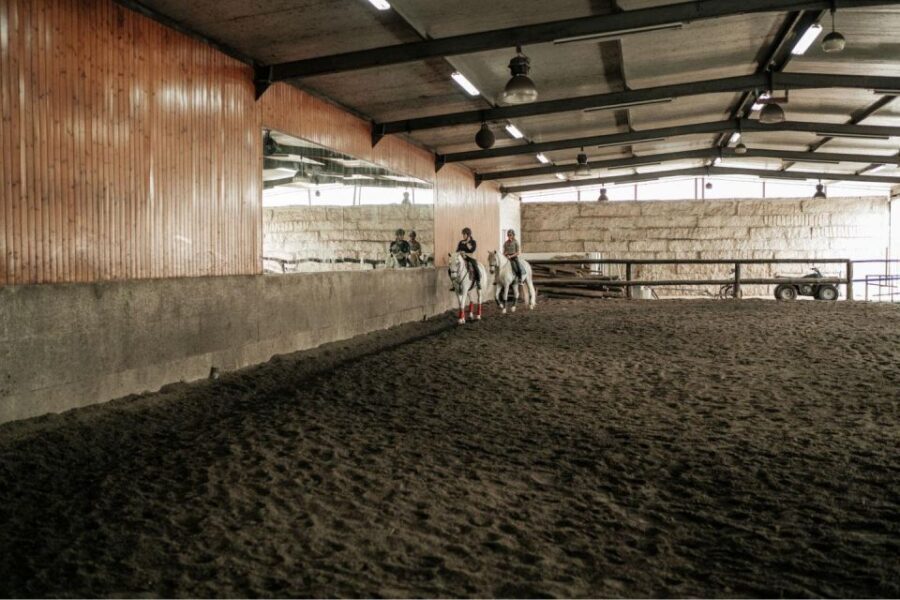 Horseback Riding Tour - A Deeper Look at the Horseback Riding Tour